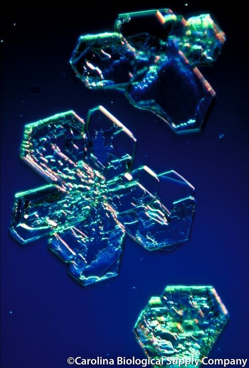 Boric acid - Crystal growing